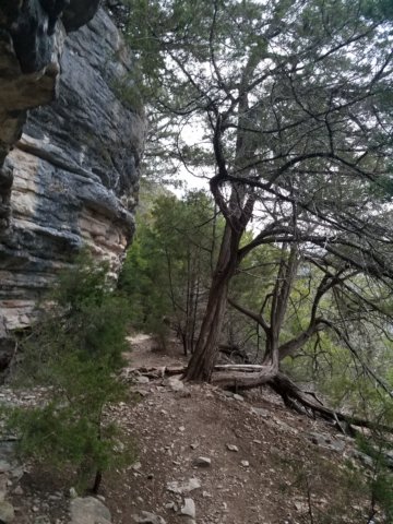 _070241.jpg