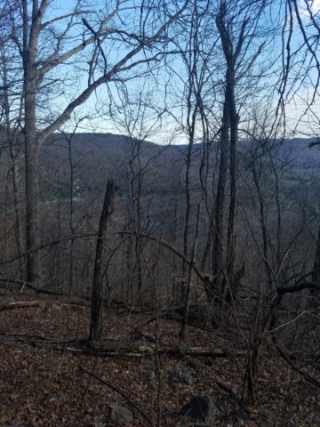_150604.jpg