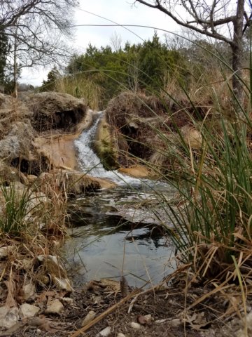 spicewoodsprings3.jpg
